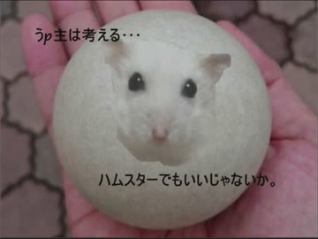 コンタクトハムリング