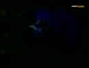 プレイ動画　ダークソウルをしよけんプレイ０１　その１