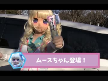 むーすちゃん　ドライブに出かけるの巻