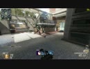PC版Cod:Bo2マルチ　2