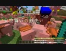 【マイクラ】 新春！ 紅白ブタ合戦2015　いろはかブタ
