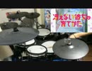 【冴えない彼女の育てかた OP】君色シグナル【叩いてみた】