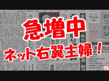 【急増中】 ネット右翼主婦！