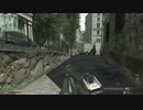 CoD:MW3 FFA PC
