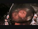 本日のソロキャンプ　トマト鍋
