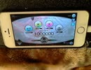 【Cytus】　-THE FALLEN BLOOM-  HARD　（MM）　【iphone5s】