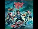 洋楽メタル紹介 “1016”　Insanity Alert　-　Crucified By Zombies