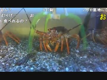 20150110 暗黒放送　伊勢崎から放送 3/3