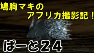【AFRIKA】鳩胸マキのアフリカ撮影記！ぱーと㉔夜のサファリ！