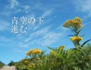 夏休みバイクツーリング - 北海道の上半分 - ②