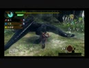【MHP3rdゆっくり実況】駆け出しハンターあぺの狩猟生活２２