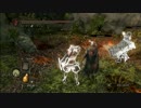 【ダークソウル2】鍵っ子が太陽奪還作戦で白霊しました