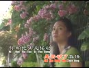 橋幸夫『潮来笠』北京語版１…張惠妘「夢在你懐中」