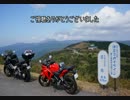 【VFR800】後輩と伊豆スカイライン行ってきた　その2