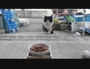 ボスとジョジョ (2014.1.14)