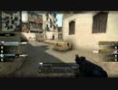【CS:GO】みっちぃのプレイ日記　part2 【MM】