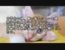 【ゆっくり怪談】猫の首輪【怖い話】