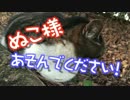 ぬこ様あそんでください！第１回　画質向上バージョン