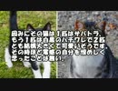 【ゆっくり怪談】孫を抱くことは出来無かった祖父【怖い話】