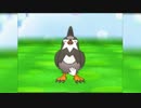 【実況】ムクホーク系統パーティのseason1反省会【ORAS】
