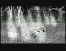 【実況】本当の悪夢を見せてやる【Neverending Nightmares】part3