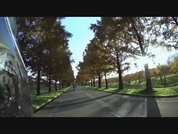 エストからの風景１