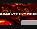 はじめましてのモンハン６０日目