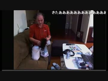 ウナちゃんマンVSひろにゃん、対決の行方