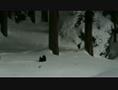 DSC_1015.MOV
