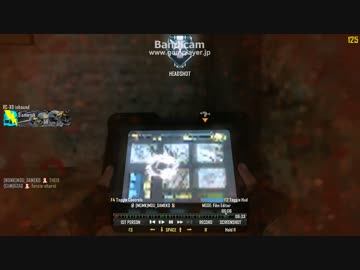 【PC版】ダメ子のへたれプレイ⑭ BO2 TDM【CoD:BO2】