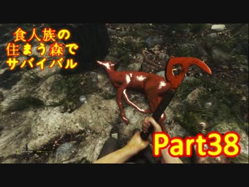 【実況】食人族の住まう森でサバイバル【The Forest】part38