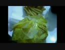 20150116　こんなご時勢だからこそマックを食べよう【TKD日記】