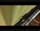 テニミュ　危険なゲーム