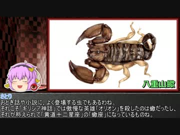 ゆっくり霊夢とやる夫が学ぶ 昆虫大百科 番外編part6