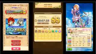 白猫プロジェクト 神速の挑戦者 破滅級 3 37 35 ニコニコ動画