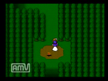 ＤＱ5　迷子動画