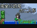 [実況]　完全に初見の二人がテラリア　part22