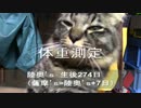 【生後274日】きょうの仔猫【蒼民家の猫々】
