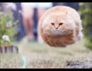 おかると怪談レイディオ 第146話 第一部 ウド編ファイナル