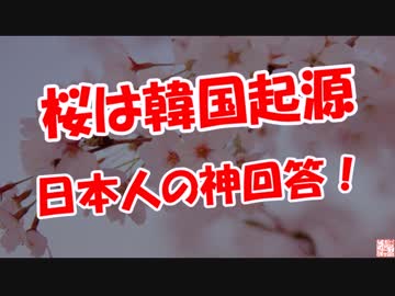 【桜は韓国起源】 日本人の神回答！