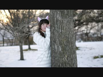 【ちかちゅう】ねこみみスイッチ 踊ってみた【岩手山！】