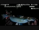 【2015/01/18】アメリカナマズ