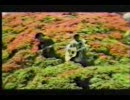 しあわせのうた