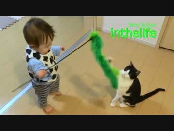 膝取り合戦 その２ 弟の逆襲