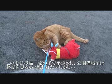 【公園猫戦争】老猫エクスペンダブルズ、公園の奪還に乗り出す