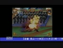 2015-01-15 中野TRF 豪血寺一族先祖供養 大会後野試合 その2