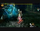 【MH4G】裸ネコ火事場双剣　vs G☆2ジンオウ原種　7分42秒