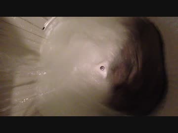 洗濯機を回すやつ