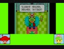 あみはなゲーム劇場『マリオ＆ルイージRPG』　part8