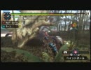 【MHP2ndG】ぼっち女子だけど暇だしちょっと狩ってくるわpart58【初心者】